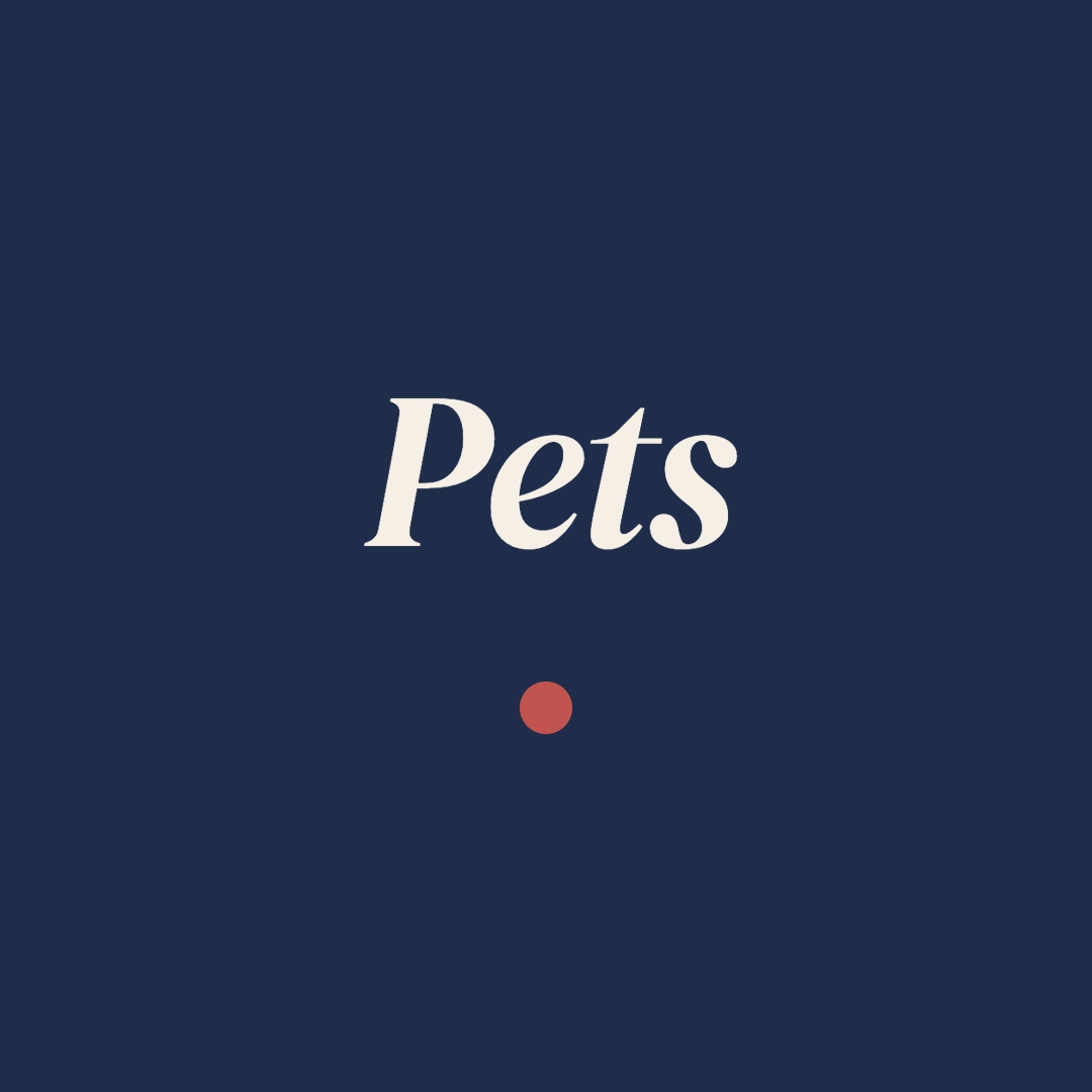 Custom Printed Pet Socks