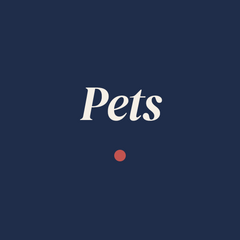 Custom Printed Pet Socks
